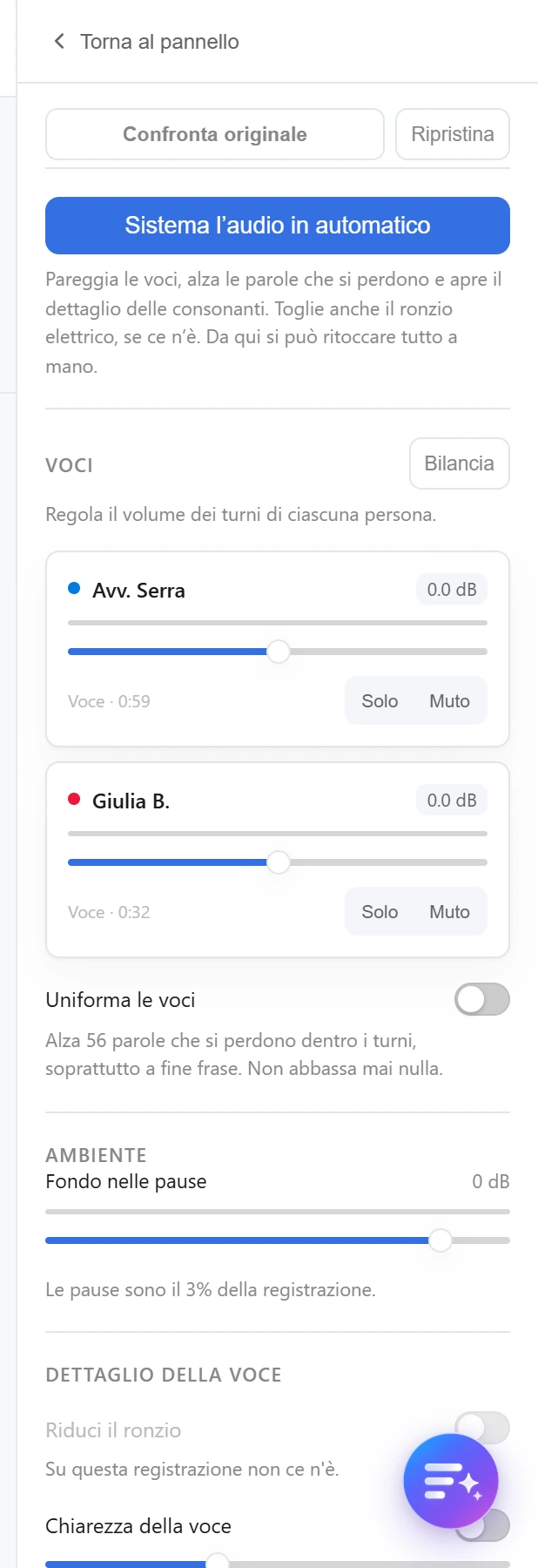 Dettaglio del pannello audio: uniforma le voci, fondo nelle pause, riduzione del ronzio, chiarezza della voce.